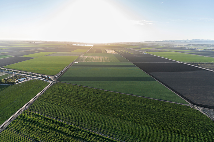 Farm Aerial Veiw2