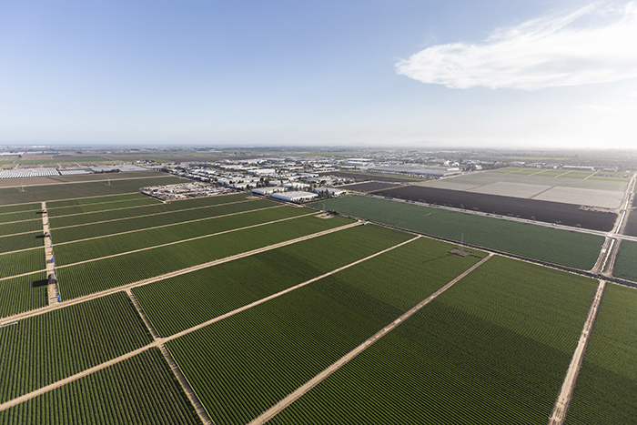 Farm Aerial Veiw4