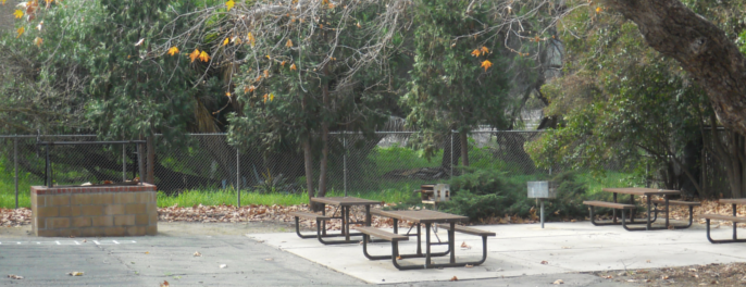 BBQ Area