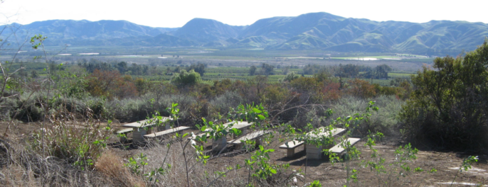 Toland Picnic Area With Views
